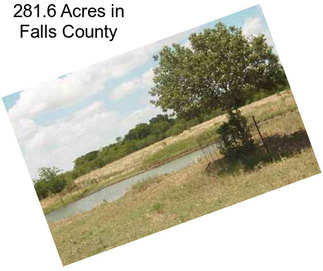 281.6 Acres in Falls County