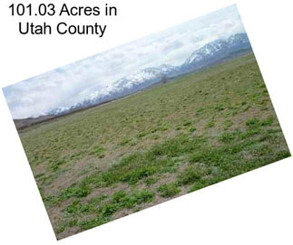101.03 Acres in Utah County