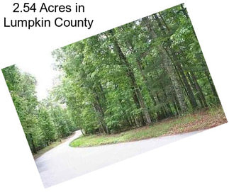 2.54 Acres in Lumpkin County