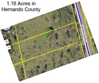 1.16 Acres in Hernando County