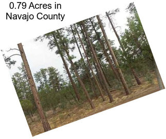0.79 Acres in Navajo County