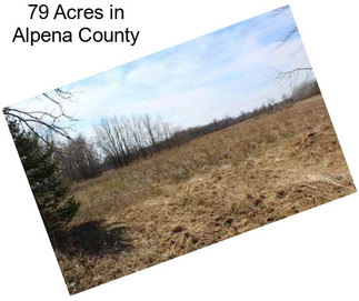 79 Acres in Alpena County