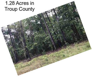 1.28 Acres in Troup County