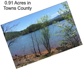 0.91 Acres in Towns County