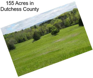 155 Acres in Dutchess County