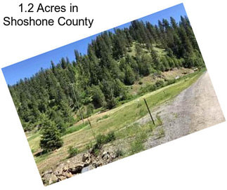 1.2 Acres in Shoshone County