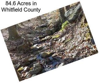 84.6 Acres in Whitfield County