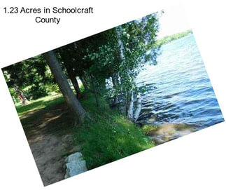 1.23 Acres in Schoolcraft County