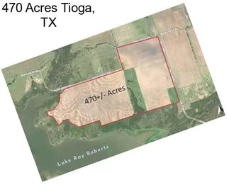 470 Acres Tioga, TX