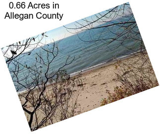 0.66 Acres in Allegan County