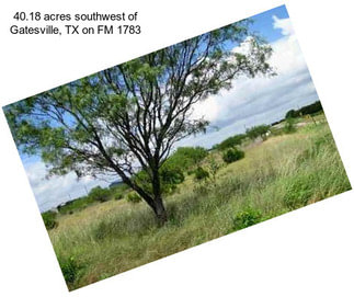 40.18 acres southwest of Gatesville, TX on FM 1783