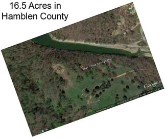 16.5 Acres in Hamblen County