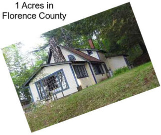 1 Acres in Florence County