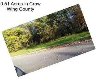 0.51 Acres in Crow Wing County