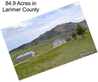 84.9 Acres in Larimer County