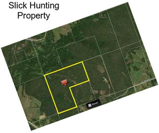 Slick Hunting Property