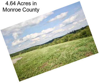 4.64 Acres in Monroe County