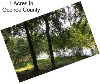 1 Acres in Oconee County