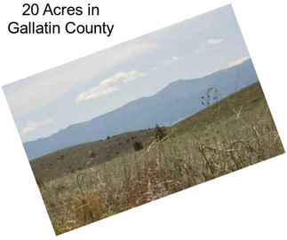 20 Acres in Gallatin County