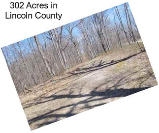 302 Acres in Lincoln County