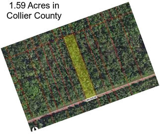 1.59 Acres in Collier County
