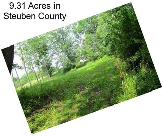 9.31 Acres in Steuben County