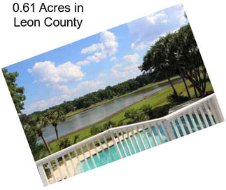 0.61 Acres in Leon County