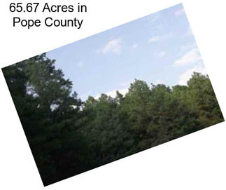 65.67 Acres in Pope County