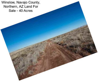 Winslow, Navajo County, Northern, AZ Land For Sale - 40 Acres