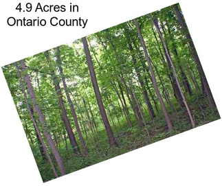 4.9 Acres in Ontario County