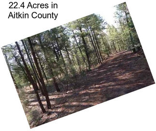 22.4 Acres in Aitkin County