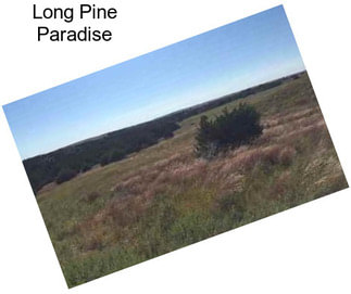 Long Pine Paradise