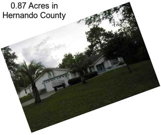 0.87 Acres in Hernando County