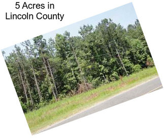 5 Acres in Lincoln County