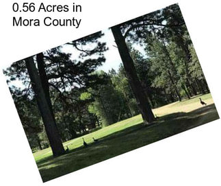 0.56 Acres in Mora County