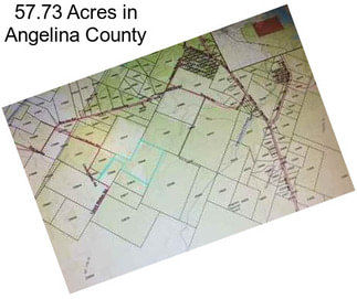 57.73 Acres in Angelina County