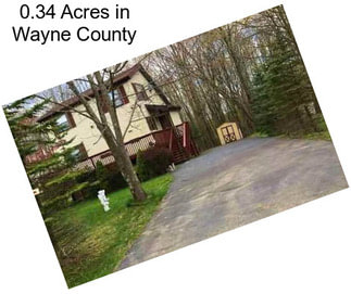 0.34 Acres in Wayne County