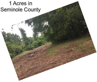 1 Acres in Seminole County