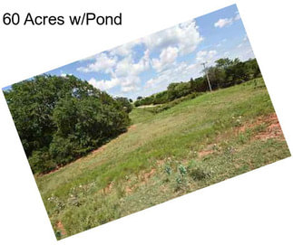 60 Acres w/Pond