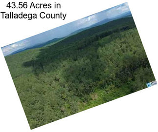 43.56 Acres in Talladega County
