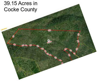 39.15 Acres in Cocke County
