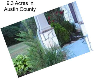 9.3 Acres in Austin County