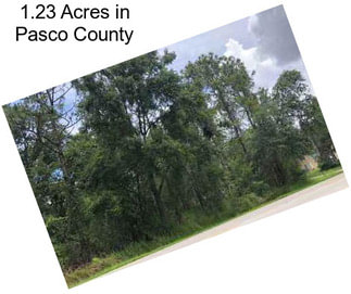 1.23 Acres in Pasco County