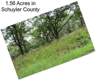 1.56 Acres in Schuyler County