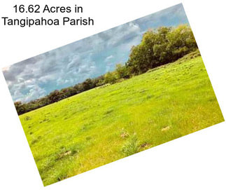 16.62 Acres in Tangipahoa Parish