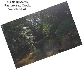 AC591 30 Acres, Pastureland, Creek, Woodland, AL