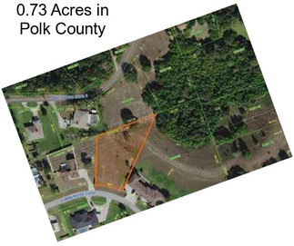 0.73 Acres in Polk County