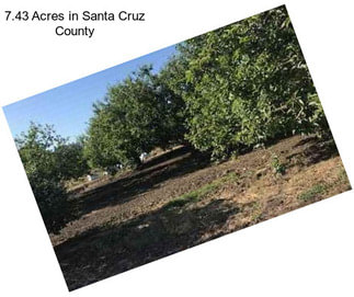 7.43 Acres in Santa Cruz County
