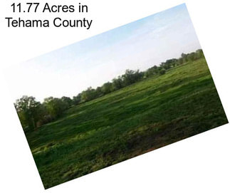 11.77 Acres in Tehama County