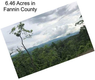 6.46 Acres in Fannin County